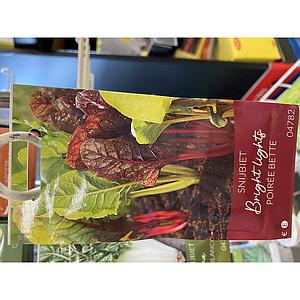 SNIJBIET  BRIGHT LIGHTS