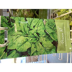 SPINAZIE WINTER PREVIA F1