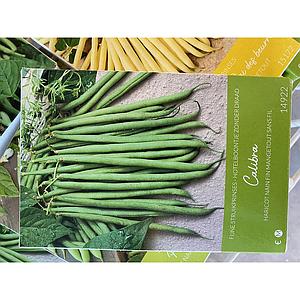 STRUIKPRINSES (HOTELBOON) CALIBRA