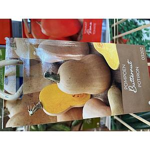 POMPOEN BUTTERNUT