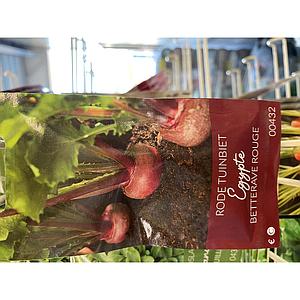TUINBIET RODE EGYPTISCHE