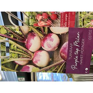 TUINRAAP BLAUWKOPPIGE EARLY  WHITE