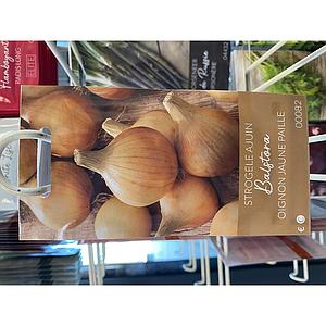 GELE RONDE AJUIN  BALSTORA