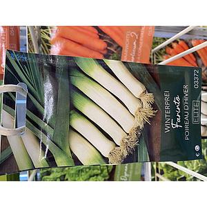 PREI LATE WINTER FARINTO