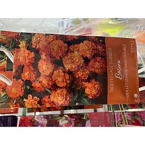 AFRIKAATJES DUBBEL LAAG BOLERO