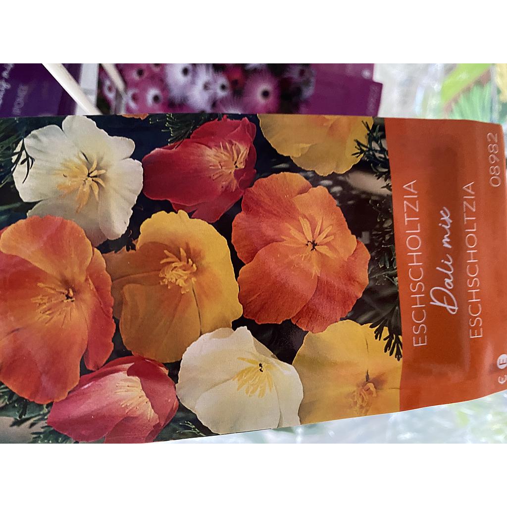 ESCHSCHOLTZIA DALI