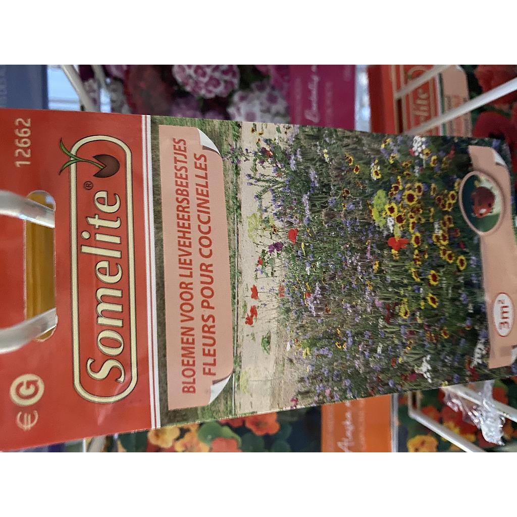 BLOEMENMIX LIEVEHEERSBE