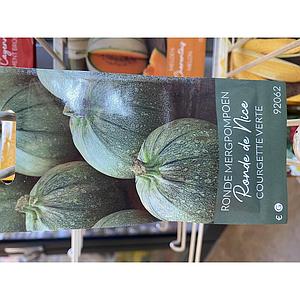 COURGETTE GROEN RONDE VAN NICE