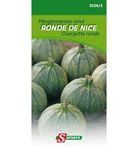 COURGETTE RONDE DE NICE - SG