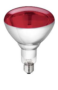 Lamp van gehard glas "Philips" 150W 240V, rood