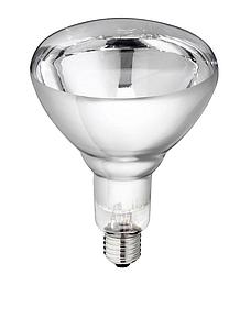 Lamp van gehard glas "Philips" 240V, helder