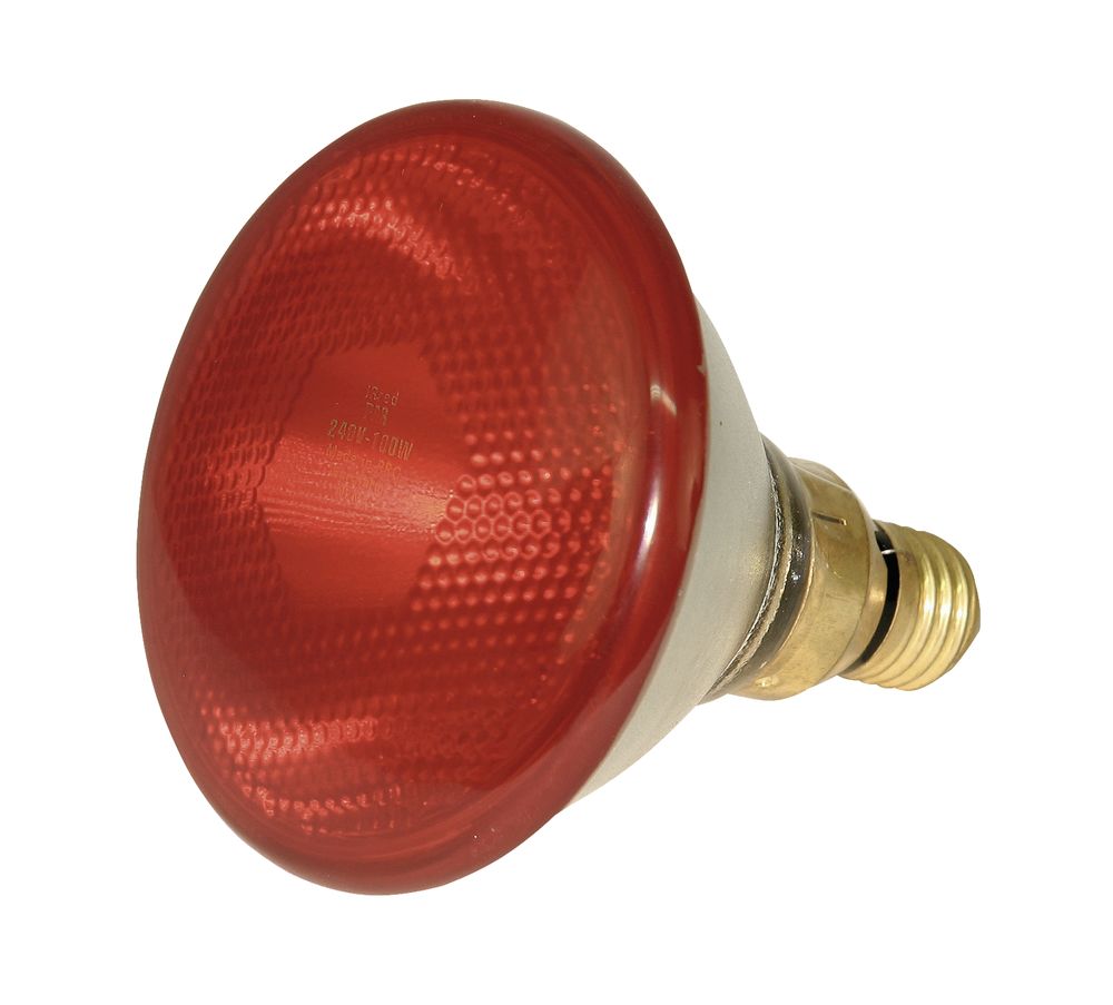 Spaarlamp PAR38 100W rood 