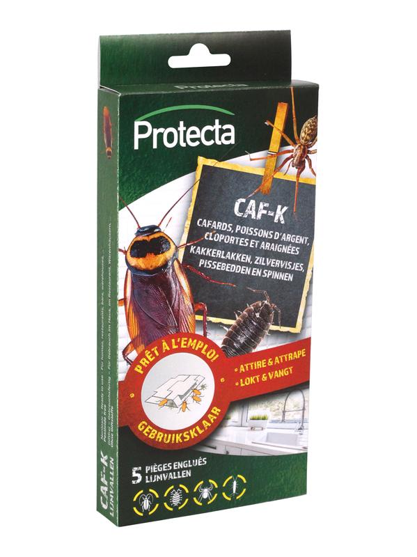 CAF-K KAKKERLAKKENVAL   