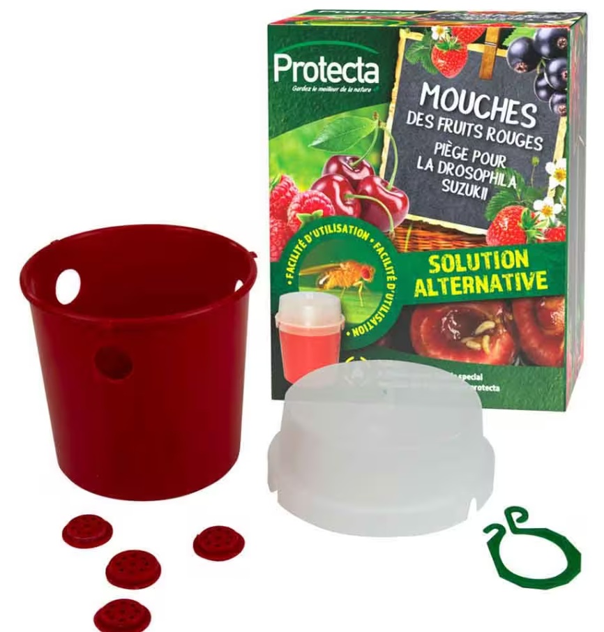 VAL VOOR DE AZIATISCHE FRUITVLIEG