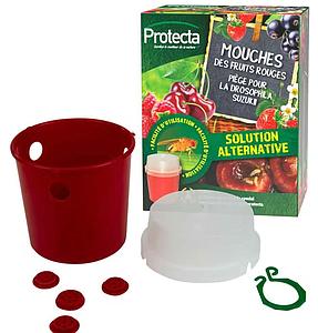 VAL VOOR DE AZIATISCHE FRUITVLIEG