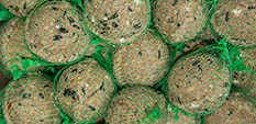 Vetbolletjes geplastifieerd per 10